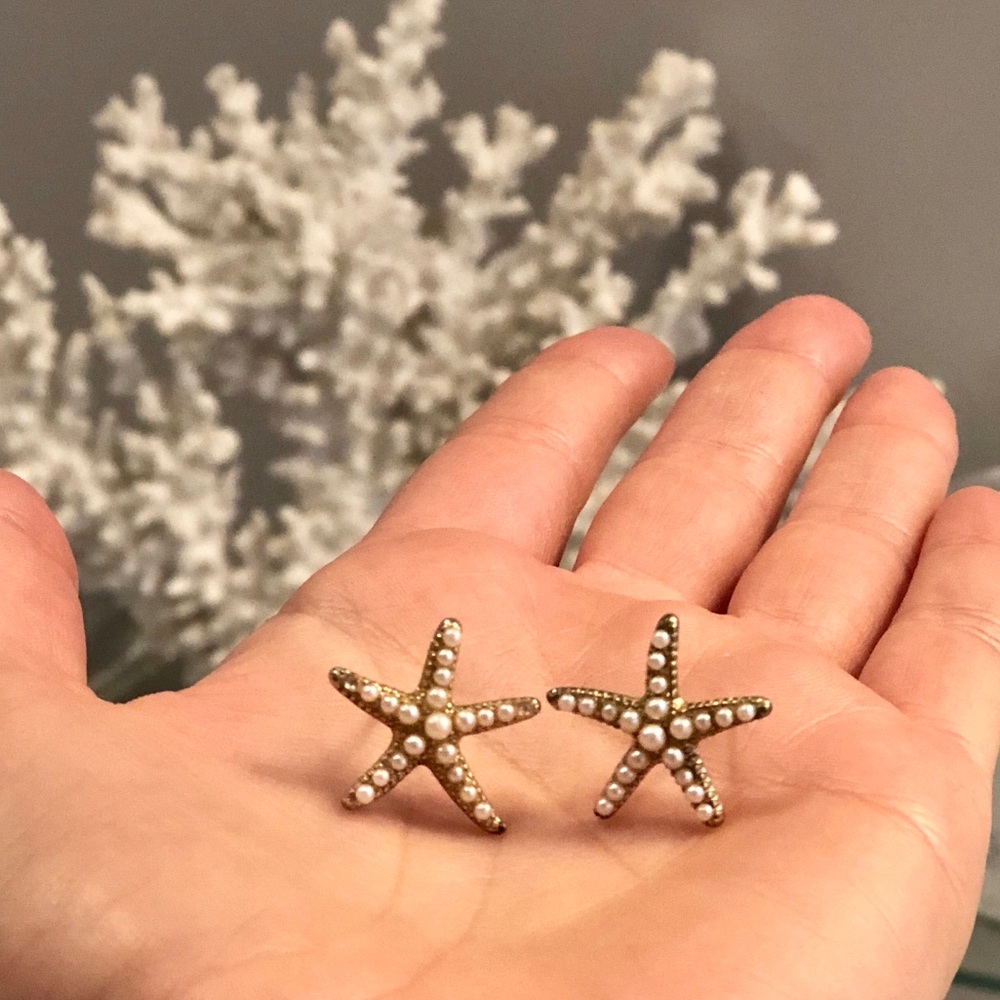 Starfish earrings